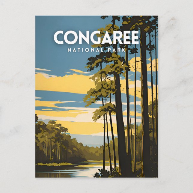 Carte Postale Le Parc national de Congaree (Devant)