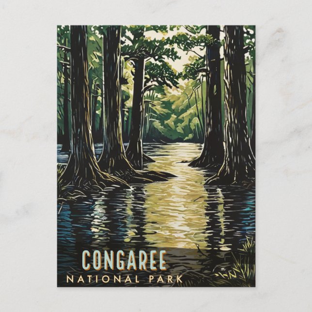Carte Postale Le Parc national de Congaree (Devant)