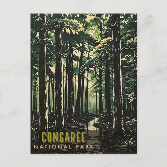 Carte Postale Le Parc national de Congaree (Devant)