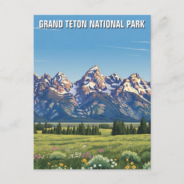 Carte Postale Le Parc national de Grand Teton (Devant)