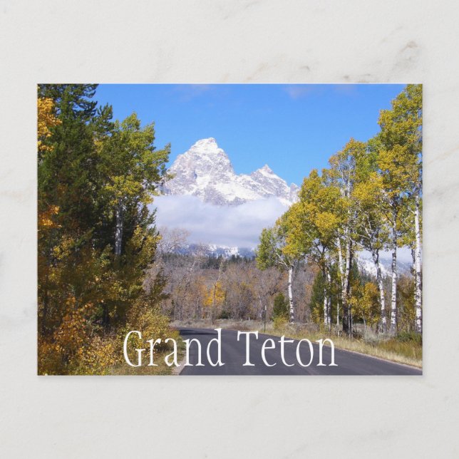 Carte Postale Le Parc national de Grand Teton (Devant)
