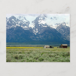 Carte Postale Le Parc national de Grand Teton