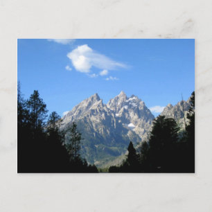 Carte Postale Le Parc national de Grand Teton