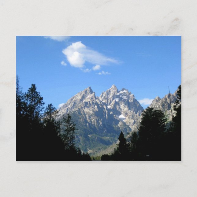 Carte Postale Le Parc national de Grand Teton (Devant)