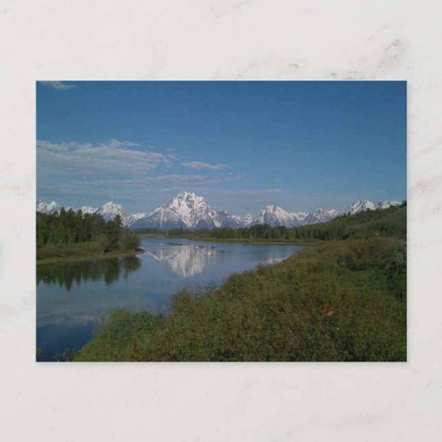 Carte Postale Le Parc national de Grand Teton (Devant)