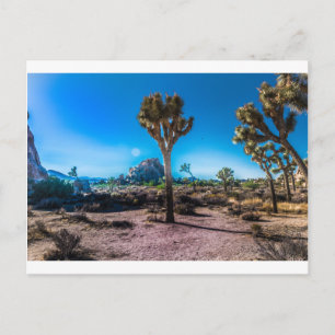 Carte Postale Le Parc national de Joshua Tree