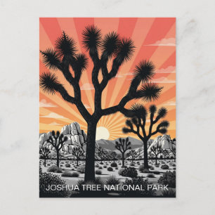 Carte Postale Le Parc national de Joshua Tree
