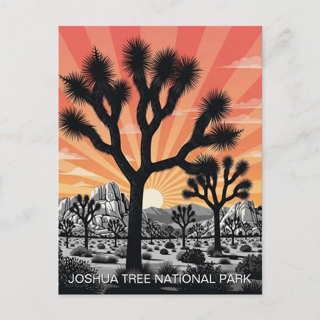 Carte Postale Le Parc national de Joshua Tree (Devant)