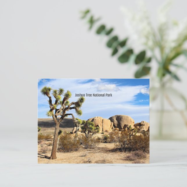 Carte Postale Le Parc national de Joshua Tree (Debout devant)