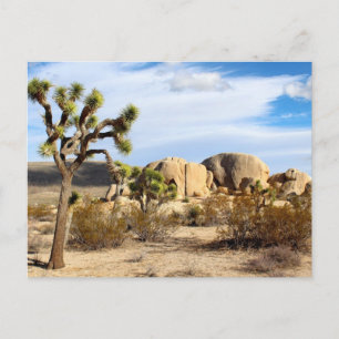 Carte Postale Le Parc national de Joshua Tree