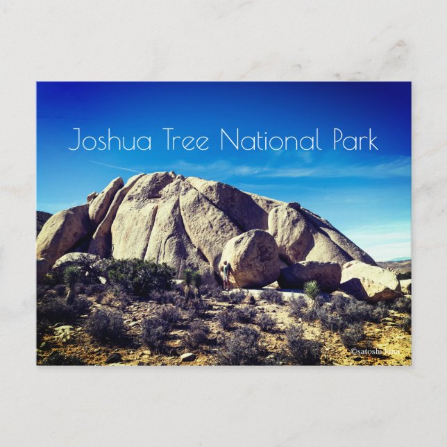 Carte Postale Le Parc national de Joshua Tree (Devant)