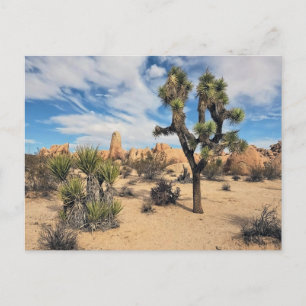 Carte Postale Le Parc national de Joshua Tree