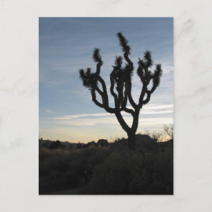 Carte Postale Le Parc national de Joshua Tree