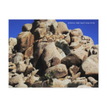 Le Parc national de Joshua Tree