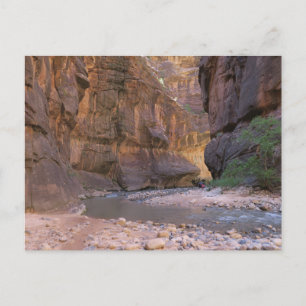 Carte Postale Le Parc national de Narrows Zion