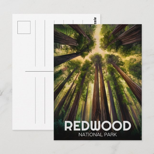 Carte Postale Le parc national de Redwood, Californie côtière (Devant / Derrière)