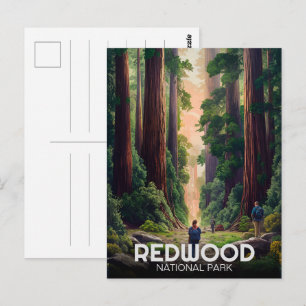 Carte Postale Le parc national de Redwood, Californie côtière