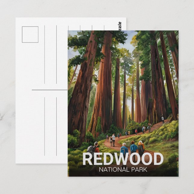 Carte Postale Le parc national de Redwood, Californie côtière (Devant / Derrière)