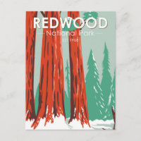 Le Parc National De Redwood En Californie Vintage 