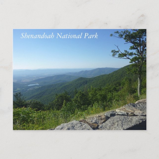Carte Postale Le Parc national de Shenandoah (Devant)