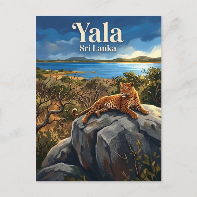 Carte Postale Le parc national de Yala Sri Lanka (Devant)
