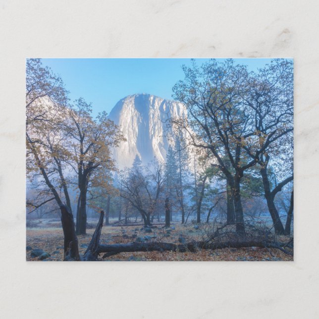 Carte Postale Le Parc national d'El Capitan Yosemite (Devant)