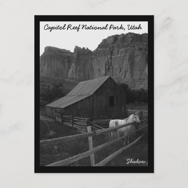 Carte Postale Le Parc national du Capitol Reef (Devant)