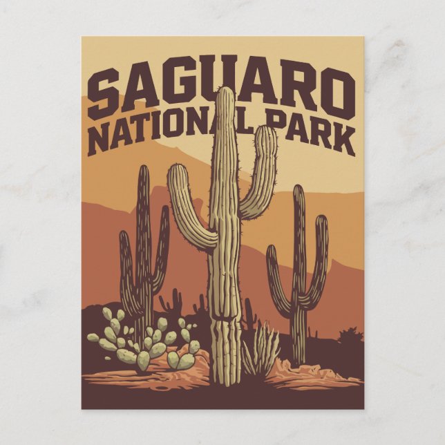 Carte Postale Le Parc national du Saguaro (Devant)