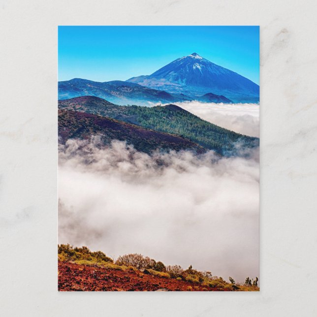 Carte Postale Le Parc national du Teide (Devant)