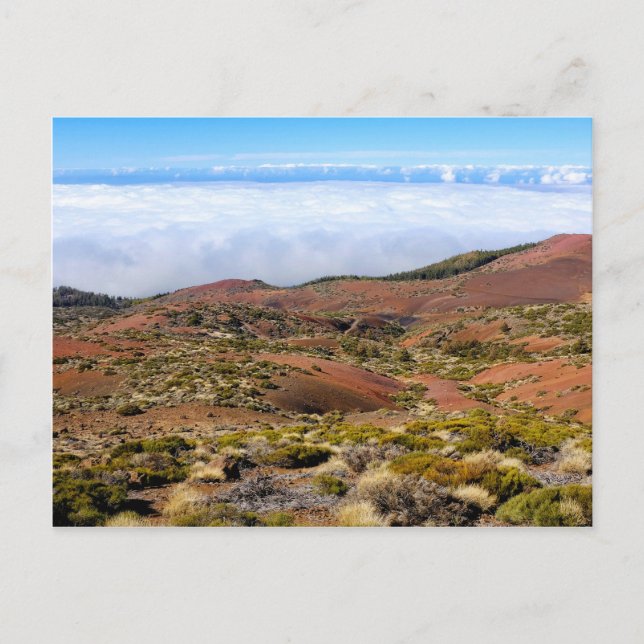 Carte Postale Le Parc national du Teide (Devant)