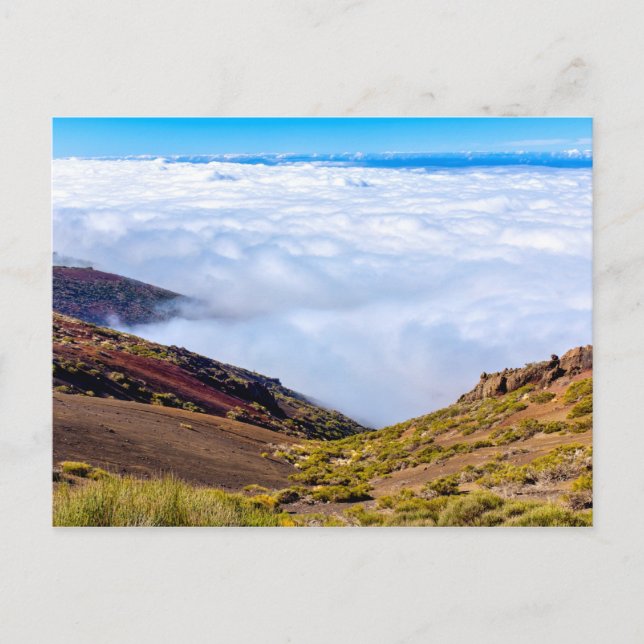 Carte Postale Le Parc national du Teide (Devant)