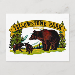 Carte Postale Le parc Yellowstone