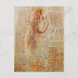 Carte Postale Le Parchemin du Coeur et des Artères Bronchiques