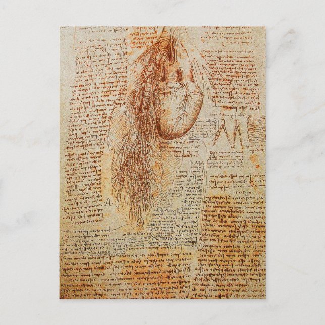 Carte Postale Le Parchemin du Coeur et des Artères Bronchiques (Devant)