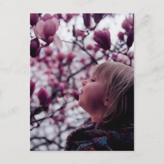 Carte Postale Le parfum du ressort
