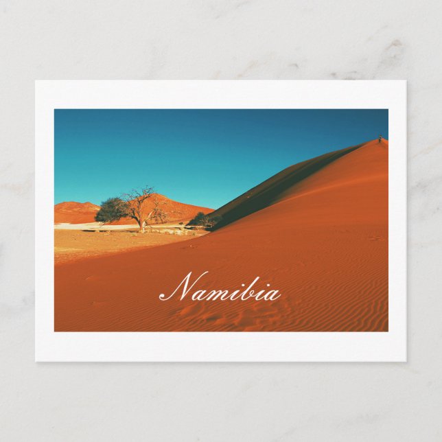Carte Postale Le paysage des dunes de sable de Namibie Sossusvle (Devant)