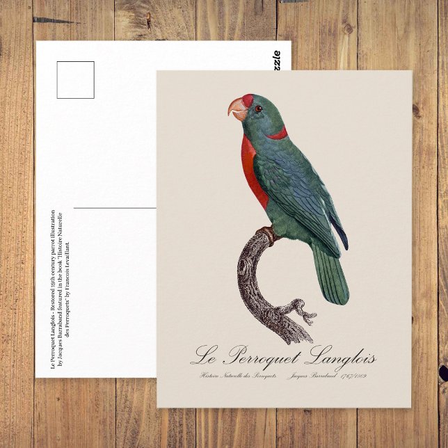 Carte Postale Le Perroquet Langlois de Jacques Barraband (Le Perroquet Langlois by Jacques Barraband. Postcard)