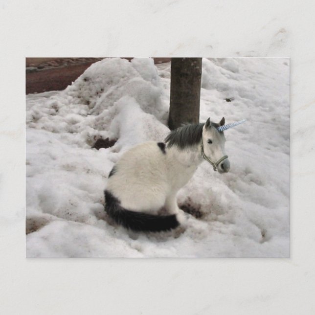 Carte Postale Le petit Unicat (Devant)