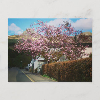 Carte Postale Le petit village de Glencoe, Écosse