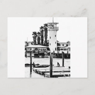 Carte Postale Le phare de Forbes Island