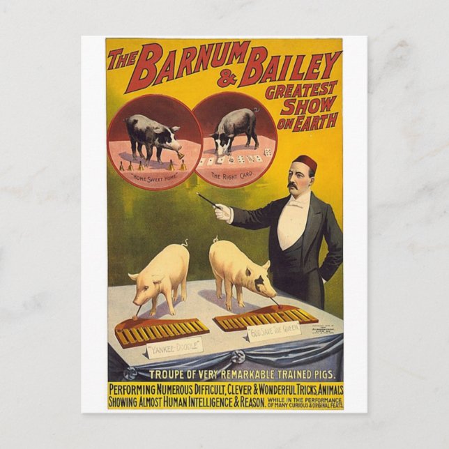 Carte Postale Le plus grand spectacle du Barnum & Bailey sur ter (Devant)