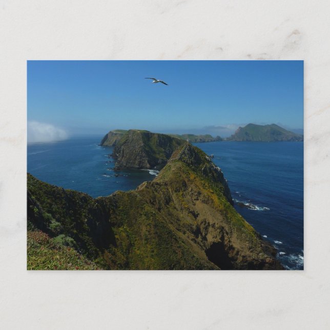 Carte Postale Le point d'inspiration d'Anacapa I dans les îles a (Devant)