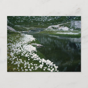 CARTE POSTALE LE PORTE