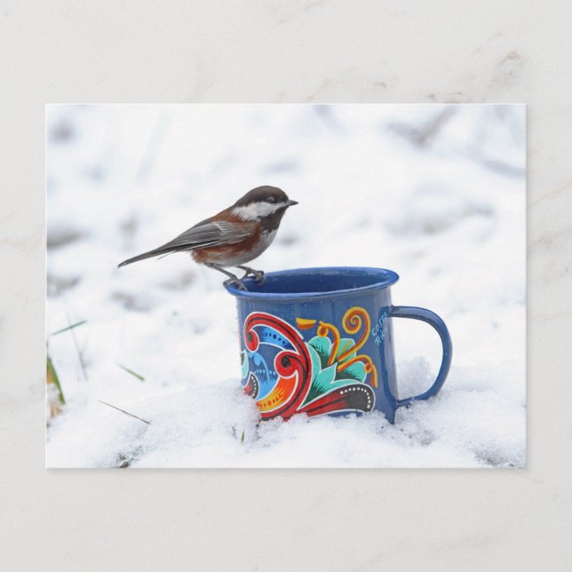 Carte Postale Le poulet dans la neige (Devant)