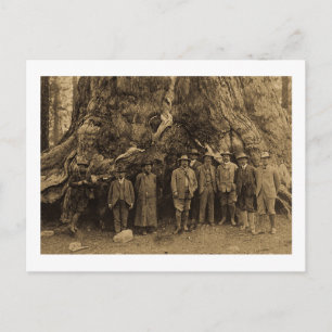 Carte Postale Le président Roosevelt et John Muir Beneath (Sepia