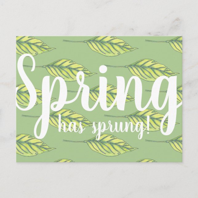 Carte Postale Le printemps a Sprung Feuilles verts (Devant)