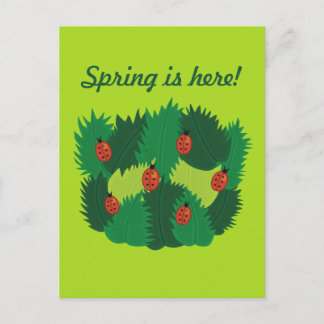 Carte Postale Le Printemps Des Feuilles Verts Et Des Ladybugs