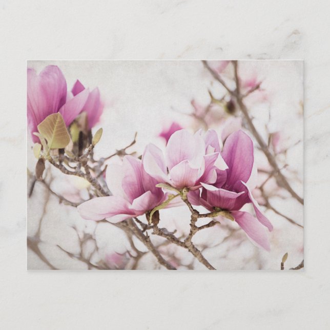 Carte Postale Le printemps est dans l'air (Devant)