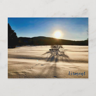 Carte Postale Le printemps semble être loin