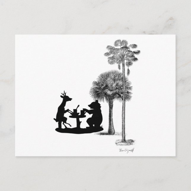 Carte Postale Le problème avec les ours. (Devant)